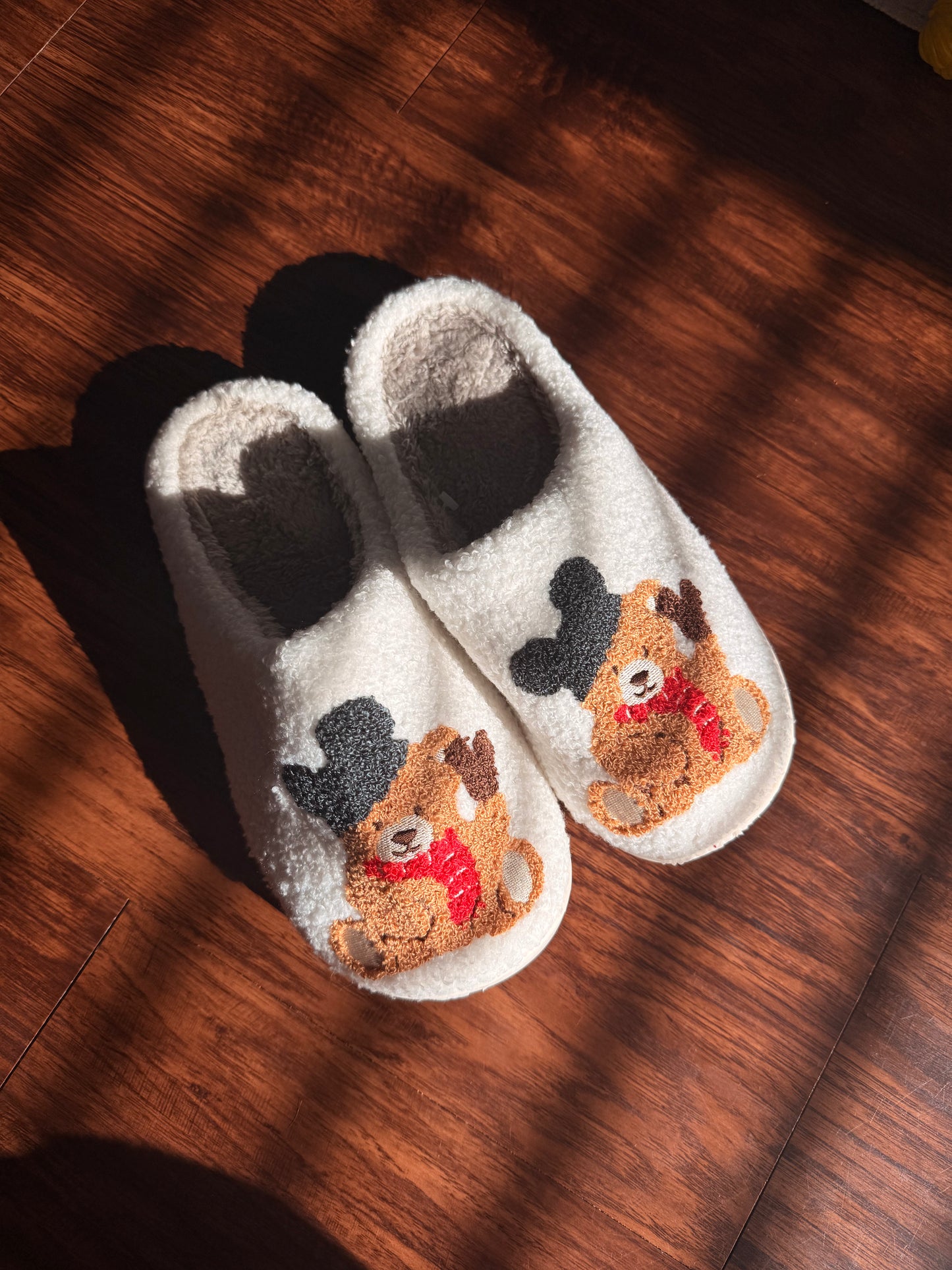 Beary Magical Slippers