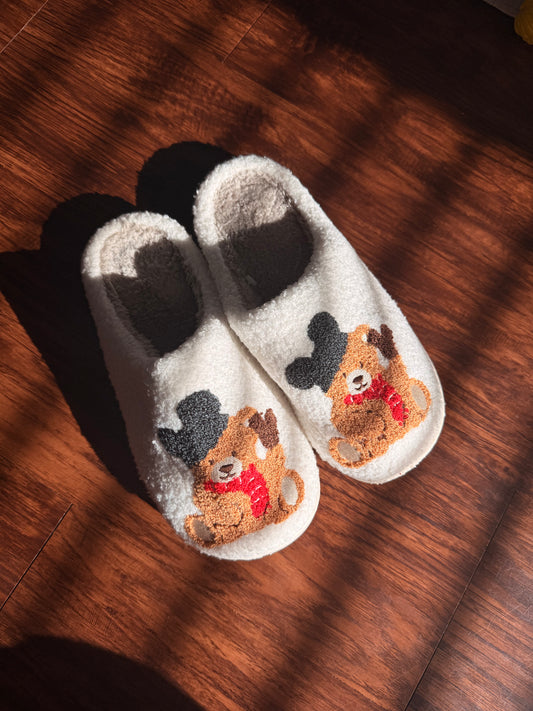 Beary Magical Slippers